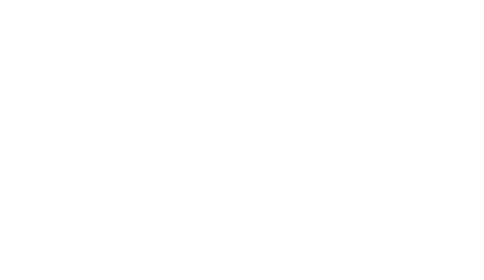 Bad Boy logo