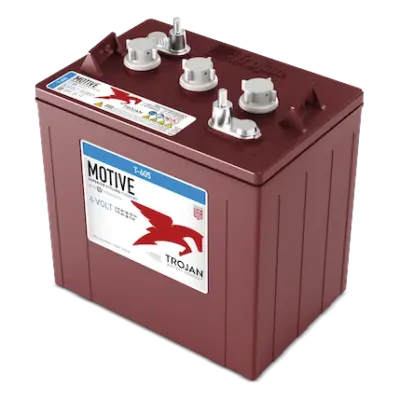 Trojan T-605 6V Flooded Golf Cart Battery Set of 6 (36V cart)