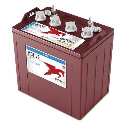 Trojan T-875 8V Flooded Golf Cart Battery Set of 6 (48V cart)